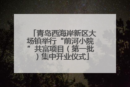 青岛西海岸新区大场镇举行“前河小院”共富项目（第一批）集中开业仪式