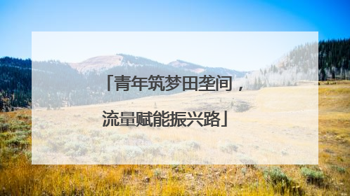 青年筑梦田垄间，流量赋能振兴路
