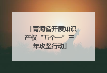 青海省开展知识产权“五个一”三年攻坚行动