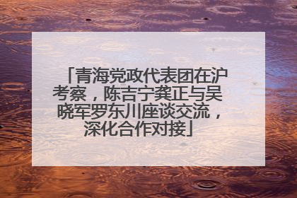青海党政代表团在沪考察，陈吉宁龚正与吴晓军罗东川座谈交流，深化合作对接