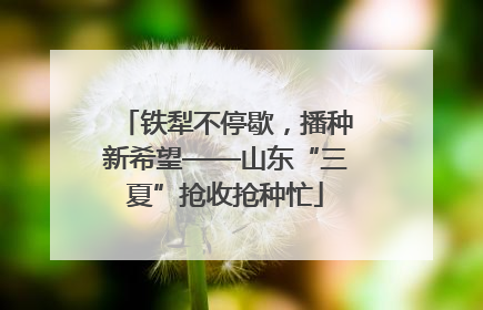 铁犁不停歇，播种新希望——山东“三夏”抢收抢种忙