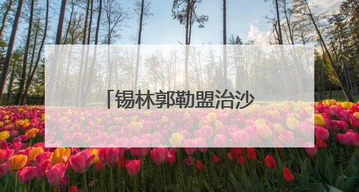 锡林郭勒盟治沙小妙招 给沙地吃上“营养餐”