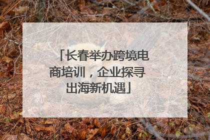长春举办跨境电商培训，企业探寻出海新机遇