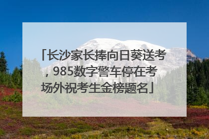 长沙家长捧向日葵送考，985数字警车停在考场外祝考生金榜题名