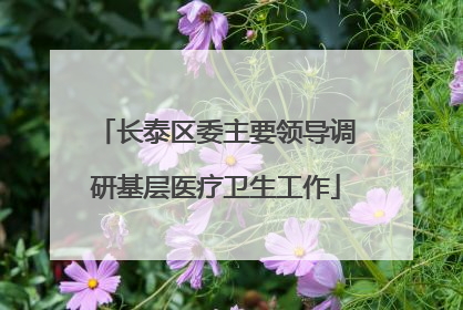 长泰区委主要领导调研基层医疗卫生工作