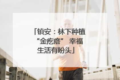 镇安：林下种植“金疙瘩” 幸福生活有盼头