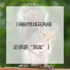 闽侯绣球花海成近郊游“顶流”