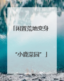 闲置荒地变身“小鹿菜园”