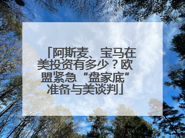 阿斯麦、宝马在美投资有多少？欧盟紧急“盘家底”准备与美谈判