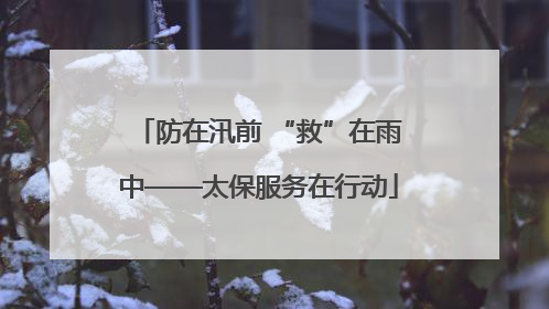 防在汛前 “救”在雨中——太保服务在行动