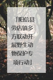 阳信县劳店镇多方联动开展野生动物保护专项行动