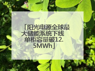 阳光电源全球最大储能系统下线 单柜容量破12.5MWh