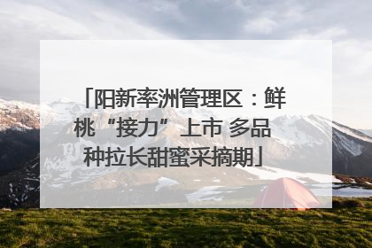 阳新率洲管理区：鲜桃“接力”上市 多品种拉长甜蜜采摘期