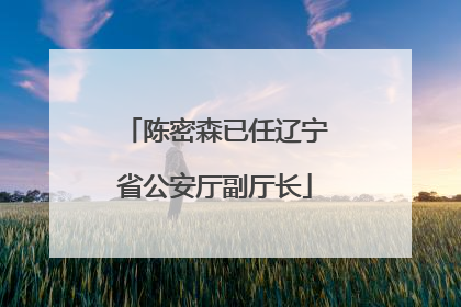 陈密森已任辽宁省公安厅副厅长