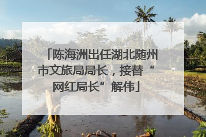 陈海洲出任湖北随州市文旅局局长，接替“网红局长”解伟