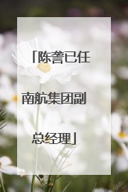 陈詟已任南航集团副总经理