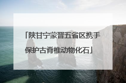 陕甘宁蒙晋五省区携手保护古脊椎动物化石
