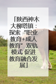 陕西神木大柳塔镇：探索“职业教育+成人教育”双轨模式 促进教育融合发展