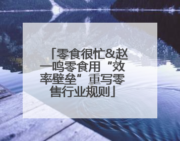 零食很忙&赵一鸣零食用“效率壁垒”重写零售行业规则