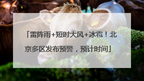 雷阵雨+短时大风+冰雹！北京多区发布预警，预计时间