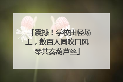 震撼！学校田径场上，数百人同吹口风琴共奏葫芦丝
