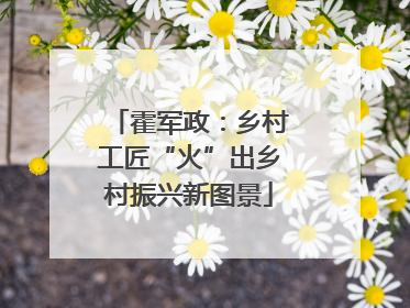 霍军政：乡村工匠“火”出乡村振兴新图景