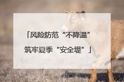 风险防范“不降温” 筑牢夏季“安全堤”