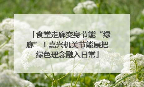 食堂走廊变身节能“绿廊”！嘉兴机关节能展把绿色理念融入日常
