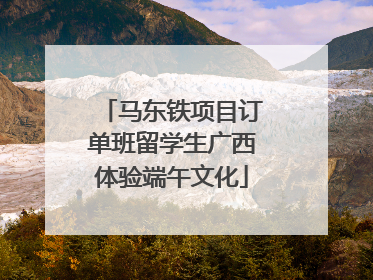 马东铁项目订单班留学生广西体验端午文化