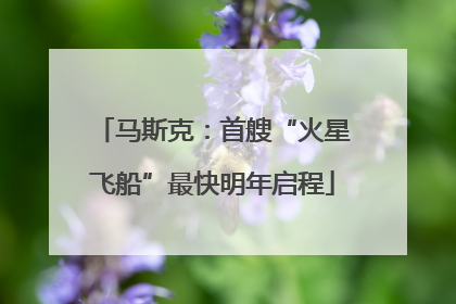 马斯克：首艘“火星飞船”最快明年启程