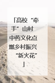 高校“牵手”山村 中药文化点燃乡村振兴“新火花”