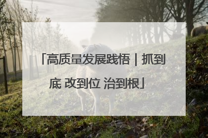 高质量发展践悟｜抓到底 改到位 治到根