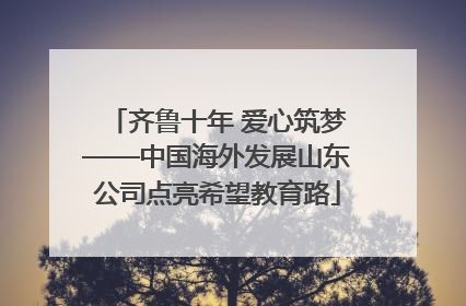 齐鲁十年 爱心筑梦——中国海外发展山东公司点亮希望教育路