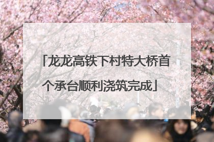 龙龙高铁下村特大桥首个承台顺利浇筑完成
