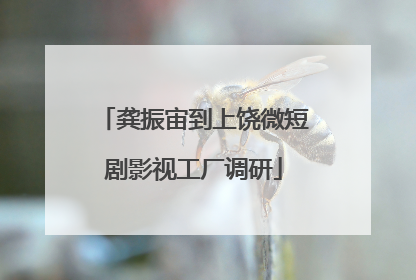 龚振宙到上饶微短剧影视工厂调研