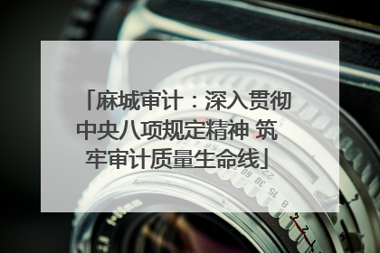 麻城审计：深入贯彻中央八项规定精神 筑牢审计质量生命线