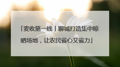 麦收第一线丨聊城打造集中晾晒场地，让农民省心又省力