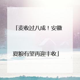 麦收过八成！安徽夏粮有望再迎丰收