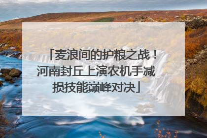 麦浪间的护粮之战！河南封丘上演农机手减损技能巅峰对决