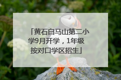 黄石白马山第二小学9月开学，1年级按对口学区招生