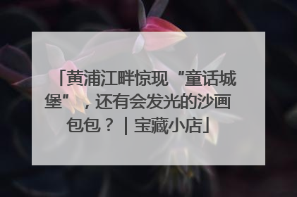 黄浦江畔惊现“童话城堡”，还有会发光的沙画包包？｜宝藏小店