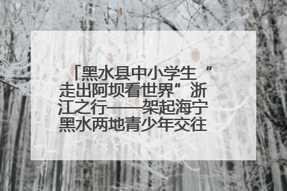 黑水县中小学生“走出阿坝看世界”浙江之行——架起海宁黑水两地青少年交往交流交融新桥梁