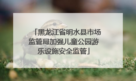 黑龙江省明水县市场监管局加强儿童公园游乐设施安全监管