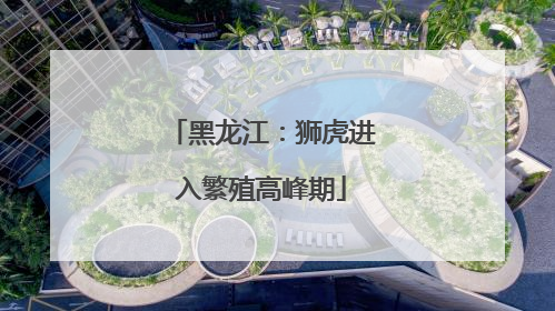 黑龙江：狮虎进入繁殖高峰期
