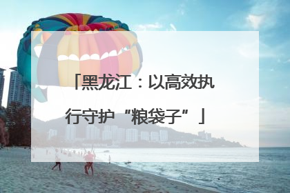 黑龙江：以高效执行守护“粮袋子”