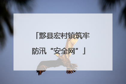 黟县宏村镇筑牢防汛“安全网”