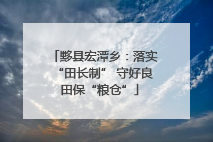 黟县宏潭乡：落实“田长制” 守好良田保“粮仓”