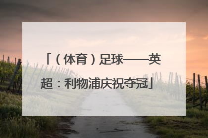 （体育）足球——英超：利物浦庆祝夺冠