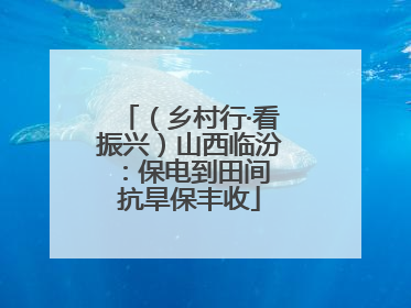 （乡村行·看振兴）山西临汾：保电到田间 抗旱保丰收