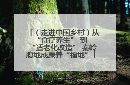 （走进中国乡村）从 “食疗养生” 到 “适老化改造” 秦岭腹地成康养“福地”